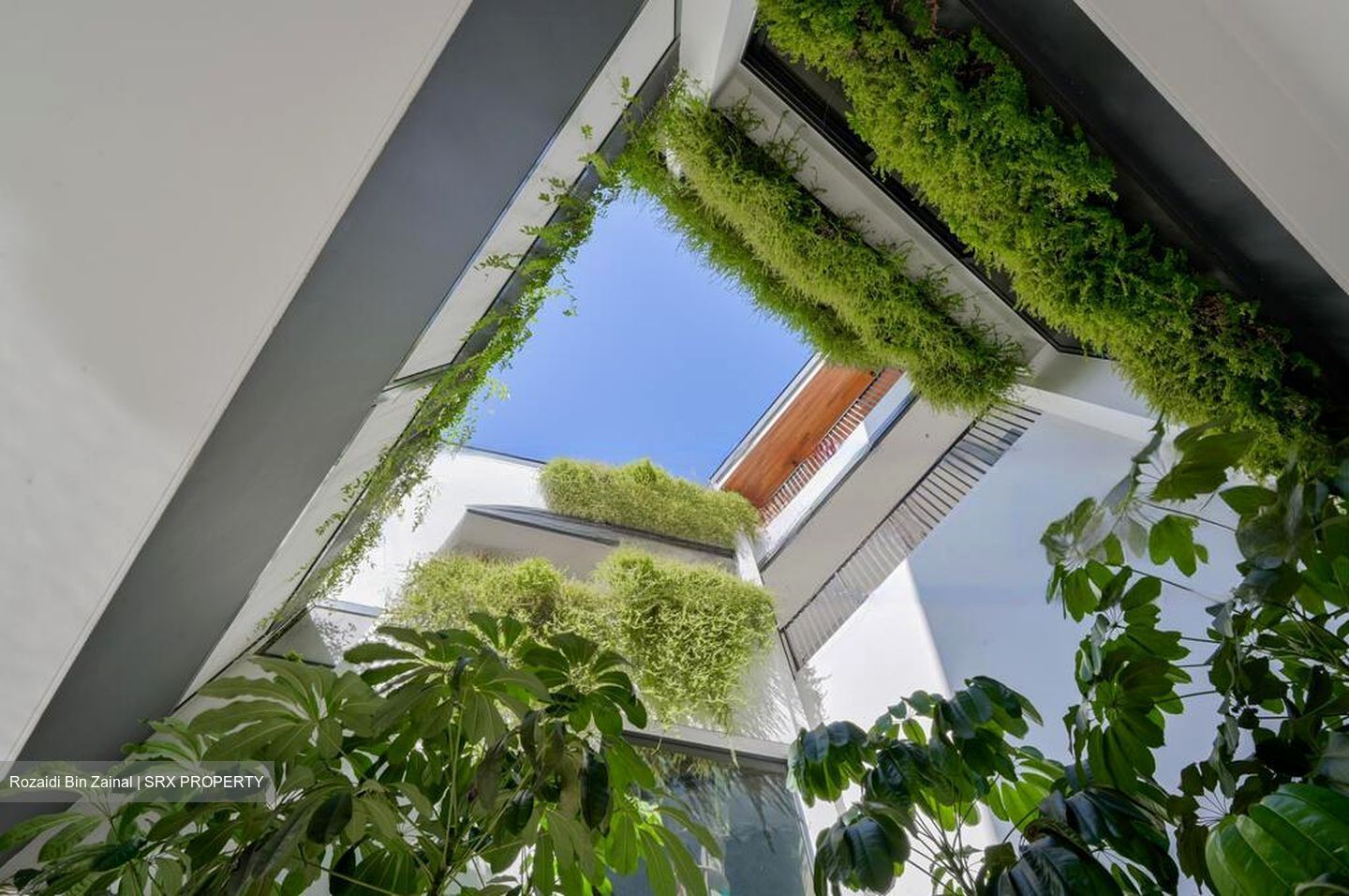 Pasir Panjang Gardens (D5), Semi-Detached #474998761